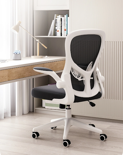 Review top ghế công thái học tốt nhất hiện nay tại Vua Ghế Văn Phòng 11