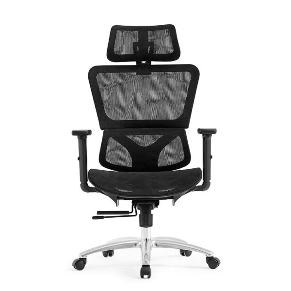 Ghế công thái học One Chair VGL310 16