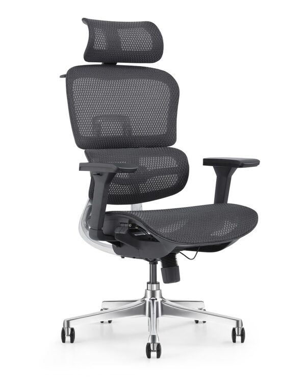 Ghế công thái học One Chair VGL311 13